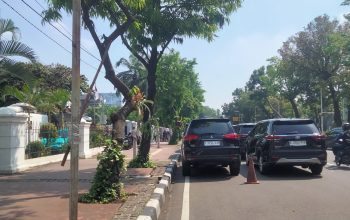 Sudah Ada Rambu Larangan, Diduga Mobil Pejabat Parkir Sembarang di Depan Gedung Kemenko PMK