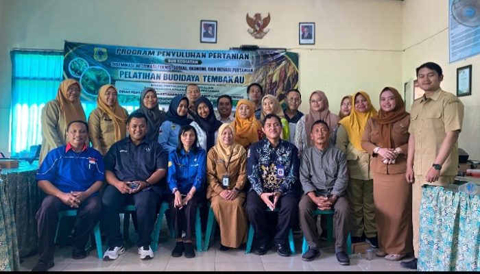 Dinas Pertanian Bondowoso Perkuat SDM Petani melalui Pelatihan Budidaya Tembakau Berkualitas
