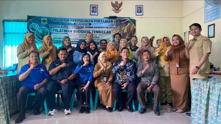 Dinas Pertanian Bondowoso Perkuat SDM Petani melalui Pelatihan Budidaya Tembakau Berkualitas