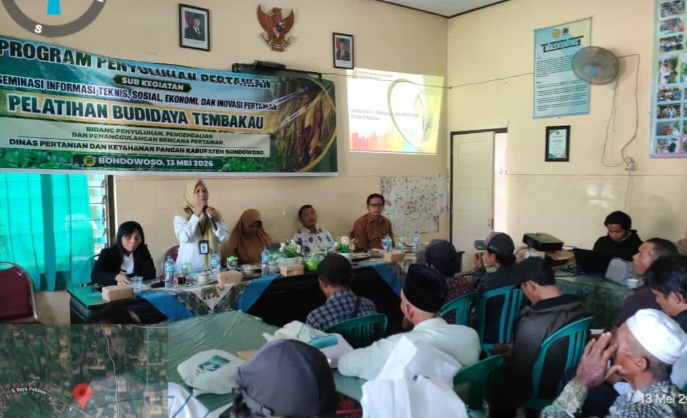 Dinas Pertanian Bondowoso Gelar Pelatihan Budidaya Tembakau, Tingkatkan Produktivitas dan Kesejahteraan Petani