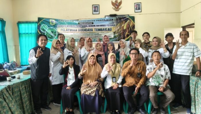 Dinas Pertanian Bondowoso Gelar Pelatihan Budidaya Tembakau, Tingkatkan Produktivitas dan Kesejahteraan Petani