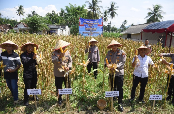 Kapolres Bondowoso Dampingi Panen Raya Jagung Nasional, Dukungan Nyata Menuju Swasembada Pangan