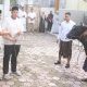 Polres Bondowoso Tebar Kepedulian Idul Adha, Salurkan 6 Sapi dan 29 Kambing Kurban