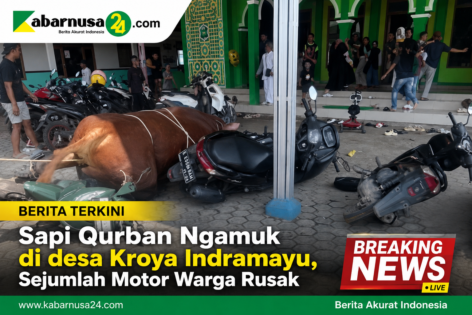 Sapi Qurban Ngamuk di desa Kroya Indramayu, Sejumlah Motor Warga Rusak