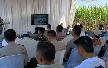 Bongkar Ratoon Tebu Dipercepat, Bondowoso Optimistis Tingkatkan Produktivitas Menuju Swasembada Gula Nasional