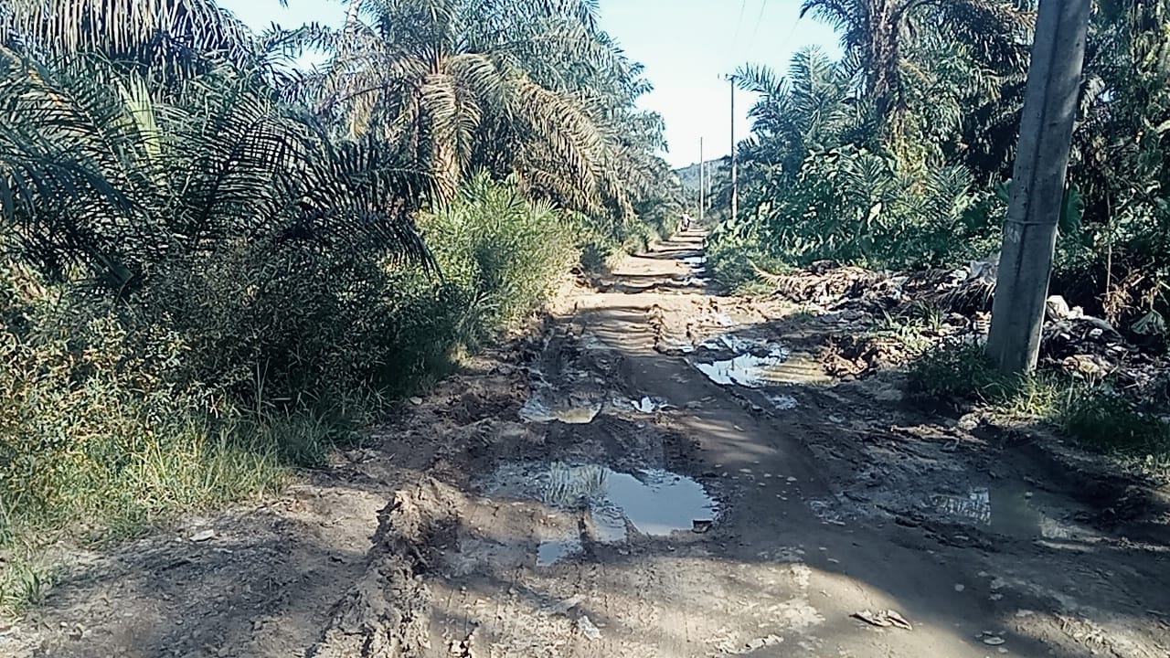 Puluhan Tahun Jalan Hancur, Warga Gunung Meranti Pertanyakan Dana Desa dan Keberpihakan Pemerintah