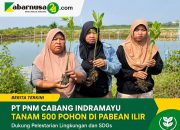 PT PNM Cabang Indramayu Tanam 500 Pohon di Pabean Ilir, Dukung Pelestarian Lingkungan dan SDGs