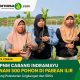 PT PNM Cabang Indramayu Tanam 500 Pohon di Pabean Ilir, Dukung Pelestarian Lingkungan dan SDGs