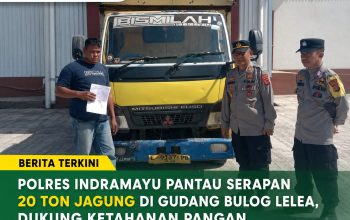 Polres Indramayu Pantau Serapan 20 Ton Jagung di Gudang Bulog Lelea, Dukung Ketahanan Pangan Polres Indramayu Pantau Serapan 20 Ton Jagung di Gudang Bulog Lelea, Dukung Ketahanan Pangan
