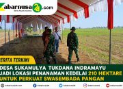 Desa Sukamulya Tukdana Indramayu Jadi Lokasi Penanaman Kedelai 210 Hektare untuk Perkuat Swasembada Pangan