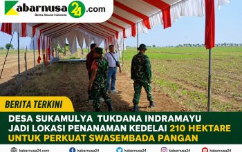 Desa Sukamulya Tukdana Indramayu Jadi Lokasi Penanaman Kedelai 210 Hektare untuk Perkuat Swasembada Pangan
