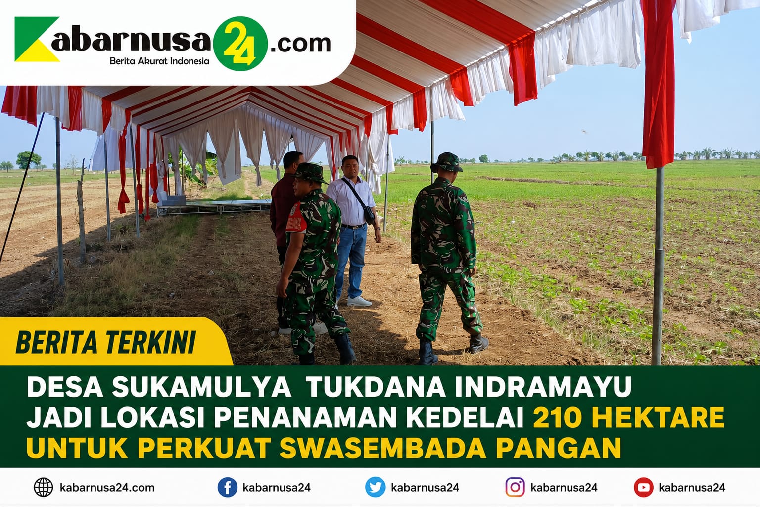 Desa Sukamulya Tukdana Indramayu Jadi Lokasi Penanaman Kedelai 210 Hektare untuk Perkuat Swasembada Pangan