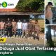Camat Tukdana Pimpin Penertiban Warung Diduga Jual Obat Terlarang di Desa Karangkerta