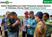 Hashim Djojohadikusumo Hadiri Penanaman Kedelai Nasional di Indramayu, Dorong Target Swasembada Kedelai