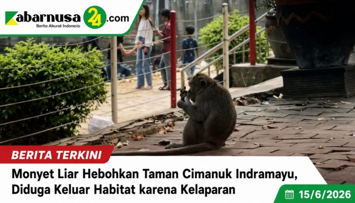 Monyet Liar Hebohkan Taman Cimanuk Indramayu, Diduga Keluar Habitat karena Kelaparan