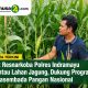 Sat Resnarkoba Polres Indramayu Pantau Lahan Jagung, Dukung Program Swasembada Pangan Nasional