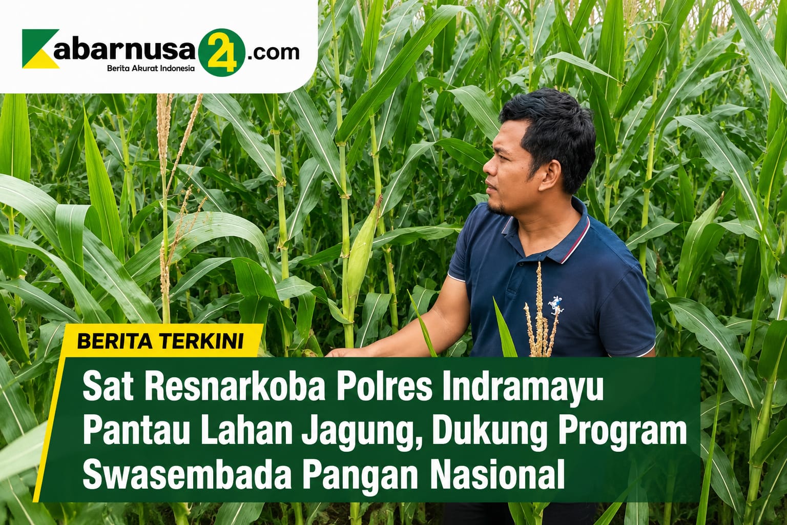 Sat Resnarkoba Polres Indramayu Pantau Lahan Jagung, Dukung Program Swasembada Pangan Nasional