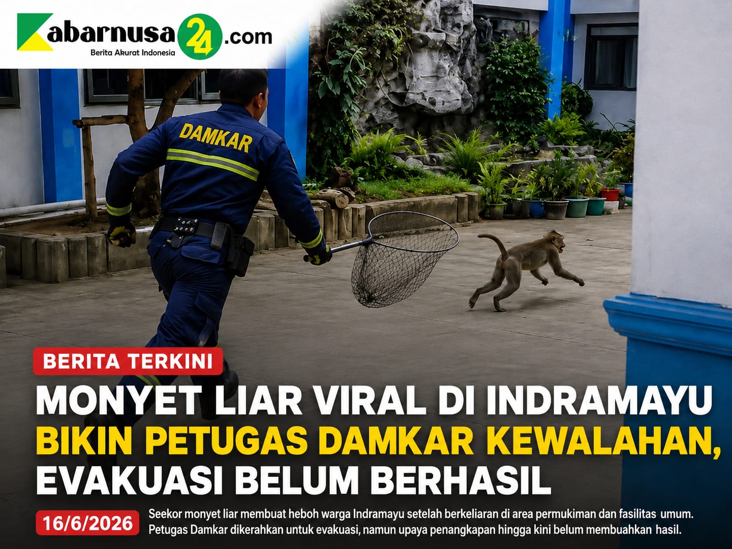 Monyet Liar Viral di Indramayu Bikin Petugas Damkar Kewalahan, Evakuasi Belum Berhasil