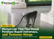 Monyet Liar Tiba-Tiba Masuk Pendopo Bupati Indramayu, Jadi Tontonan Warga
