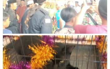 Sedekah Desa dan Karakan Kucing, Wujud Syukur serta Pelestarian Warisan Leluhur di Selok Awar-Awar Sedekah Desa dan Karakan Kucing, Wujud Syukur serta Pelestarian Warisan Leluhur di Selok Awar-Awar