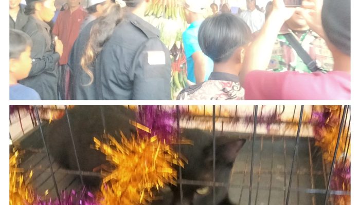 Sedekah Desa dan Karakan Kucing, Wujud Syukur serta Pelestarian Warisan Leluhur di Selok Awar-Awar