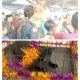Sedekah Desa dan Karakan Kucing, Wujud Syukur serta Pelestarian Warisan Leluhur di Selok Awar-Awar