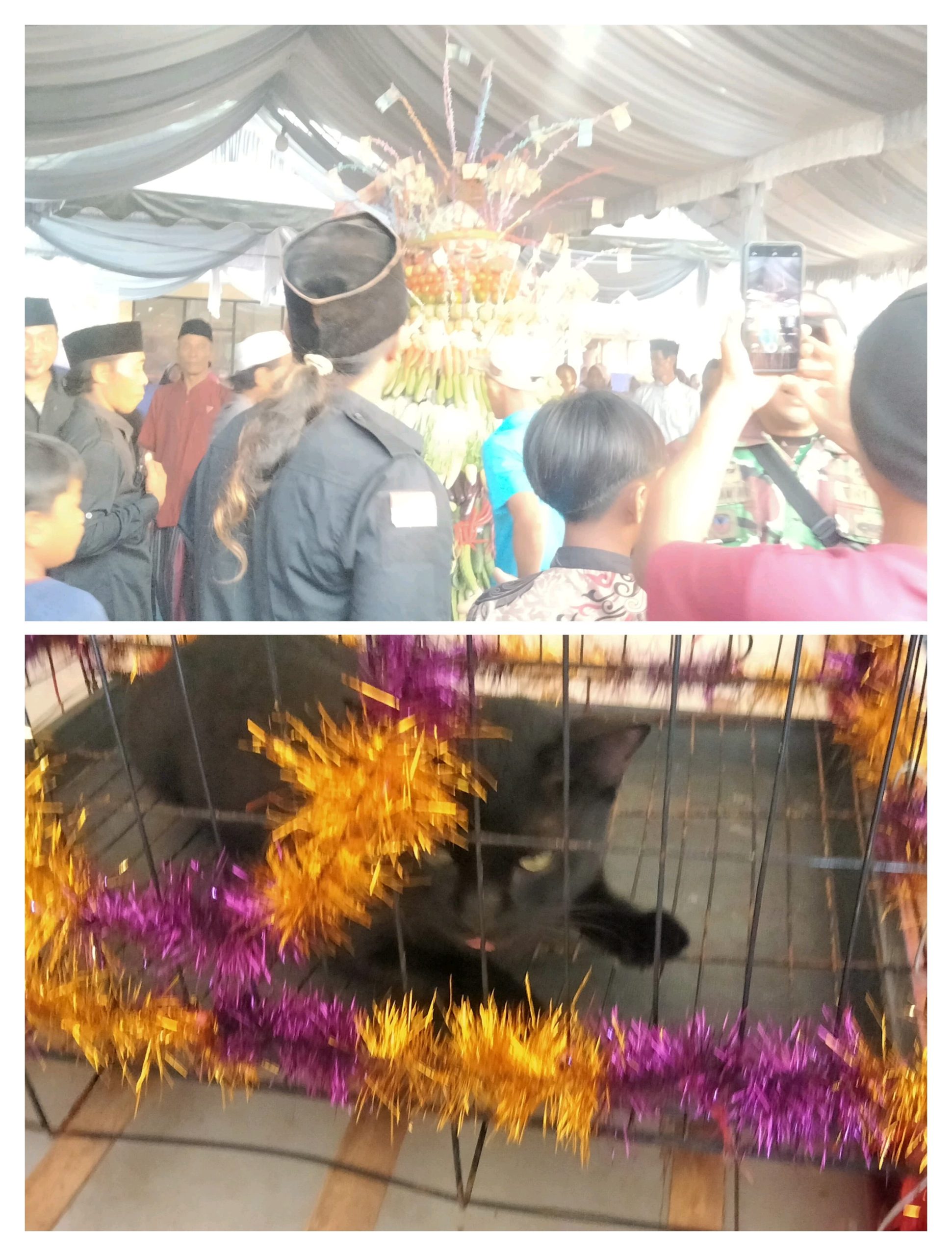 Sedekah Desa dan Karakan Kucing, Wujud Syukur serta Pelestarian Warisan Leluhur di Selok Awar-Awar