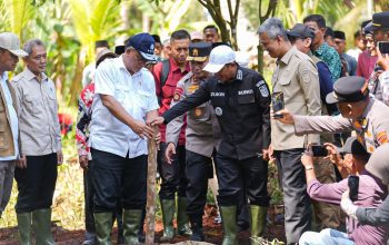 Jaga Gambut Tetap Basah, Menteri LH Jumhur Perkuat Sekat Kanal dan Budaya Ekologis di Pelalawan