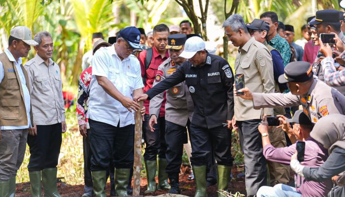 Jaga Gambut Tetap Basah, Menteri LH Jumhur Perkuat Sekat Kanal dan Budaya Ekologis di Pelalawan