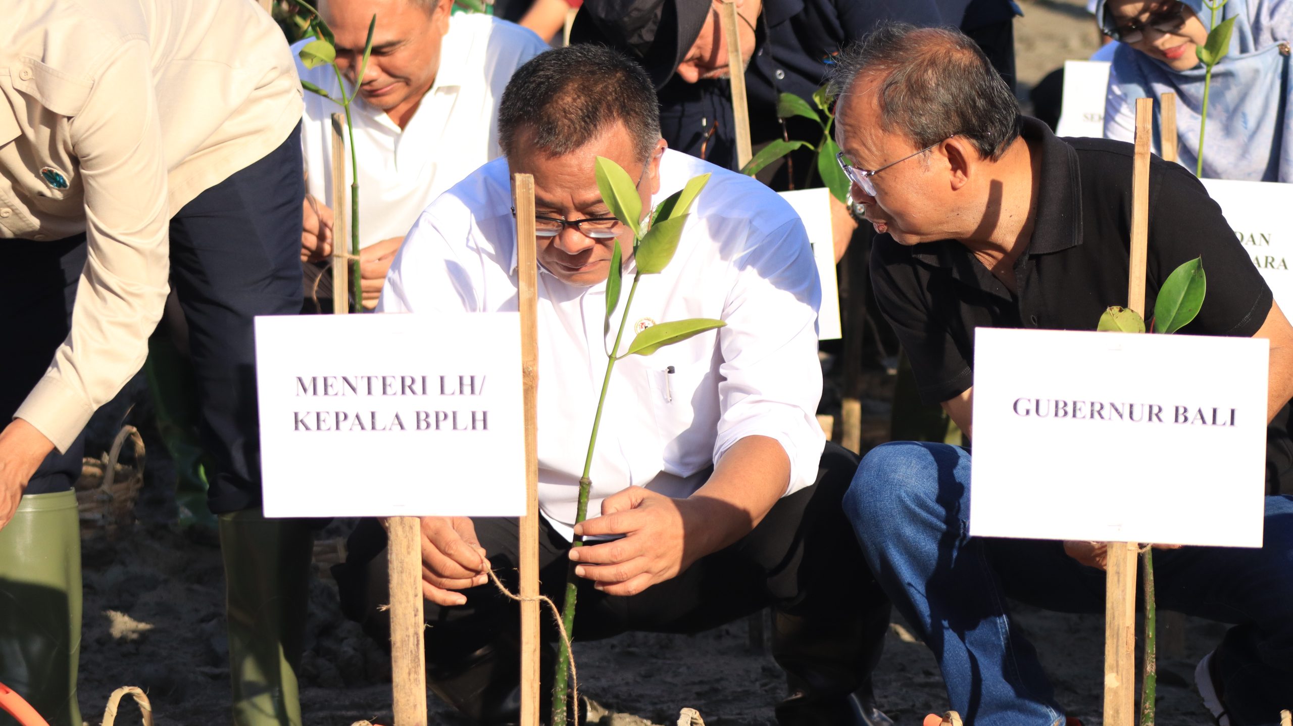 Kebut Target 2 Miliar Pohon, Menteri LH Jumhur Jadikan Bali Barometer Nasional Etika Lingkungan dan Restorasi Ekosistem