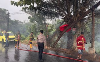 Pohon Sawit Terbakar di Jembatan Sindang Kotabumi, Polisi dan Damkar Bergerak Cepat Padamkan Api Pohon Sawit Terbakar di Jembatan Sindang Kotabumi, Polisi dan Damkar Bergerak Cepat Padamkan Api