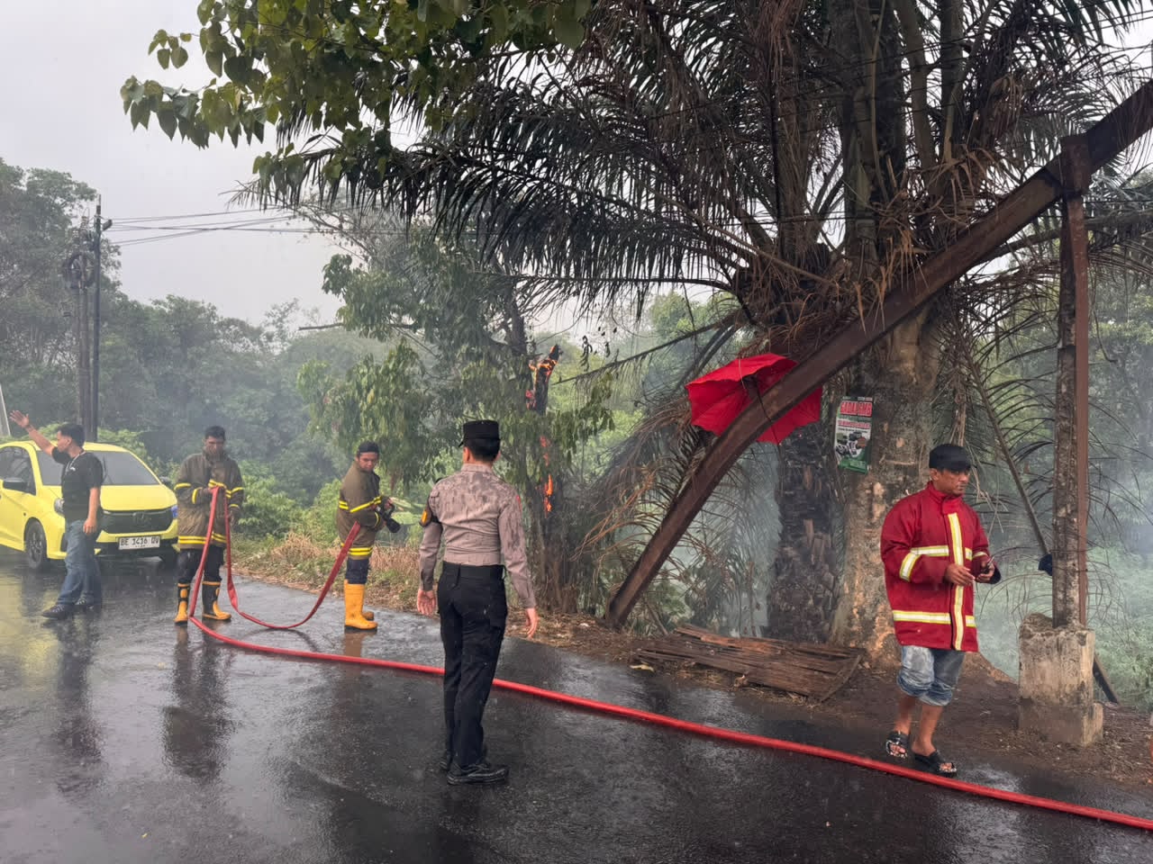 Pohon Sawit Terbakar di Jembatan Sindang Kotabumi, Polisi dan Damkar Bergerak Cepat Padamkan Api