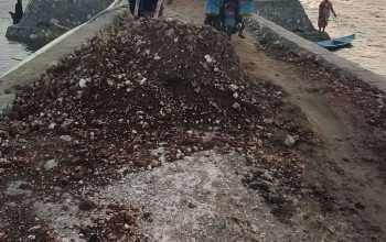 Enam Bulan Dilaporkan, Dugaan Korupsi Talud di Wakatobi Belum Berujung, LARA Sultra Minta Kepastian Hukum