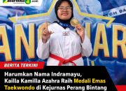 Harumkan Nama Indramayu, Kailla Kamilla Azahra Raih Medali Emas Taekwondo di Kejurnas Perang Bintang 2