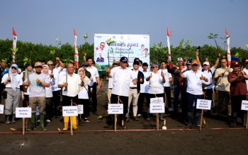Wakil Bupati Brebes Wurja Apresiasi Kehadiran Menteri LH Jumhur, Gerakan Tanam Mangrove untuk Selamatkan Pesisir