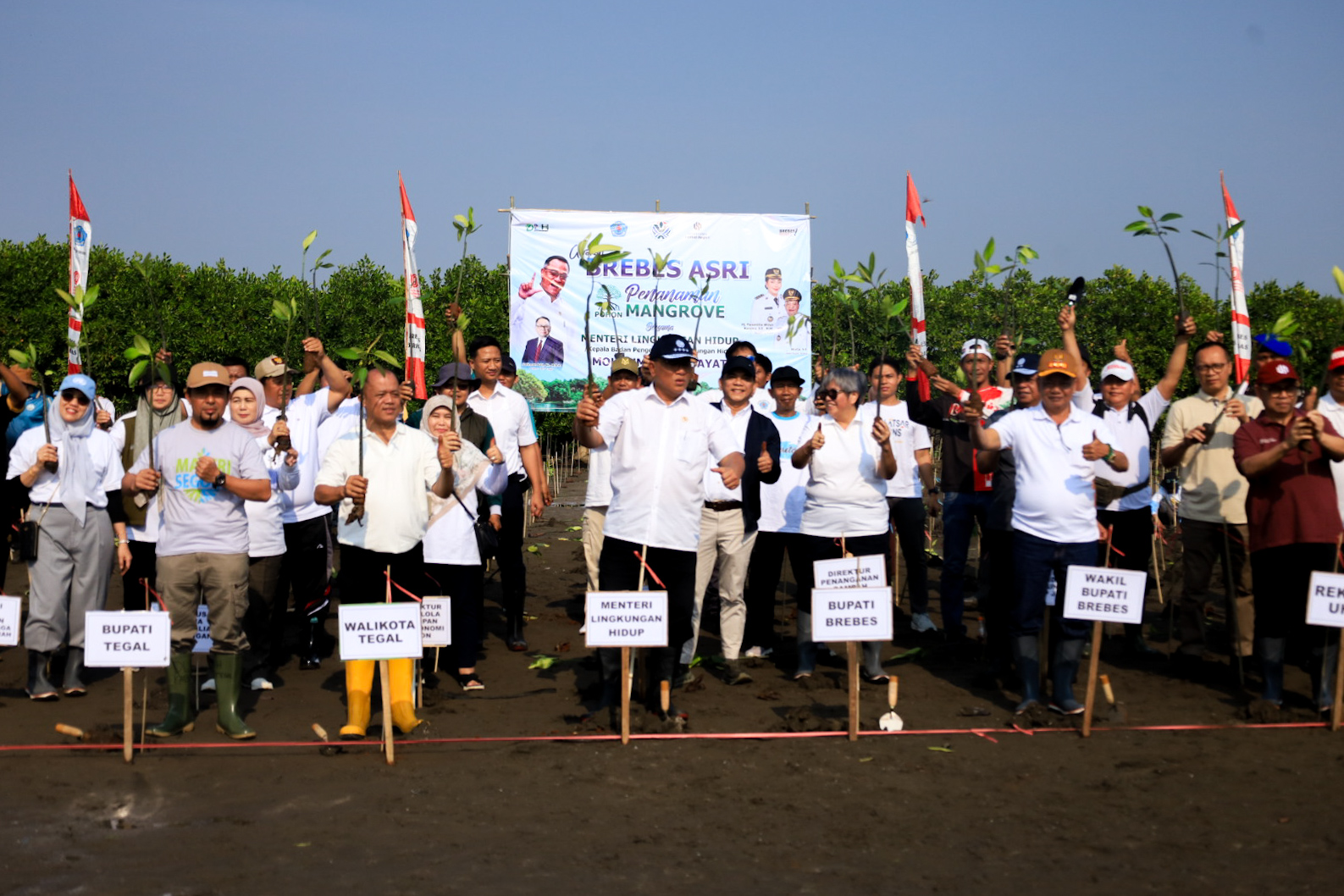 Wakil Bupati Brebes Wurja Apresiasi Kehadiran Menteri LH Jumhur, Gerakan Tanam Mangrove untuk Selamatkan Pesisir