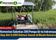 Kementan Salurkan 300 Pompa Air ke Indramayu, Siap Aliri 6.000 Hektare Sawah di Musim Kemarau