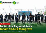 Pertamina Regional Jawa Tanam 12.500 Mangrove di Pantai Kesambi, Tutup Peringatan Hari Lingkungan Hidup 2026