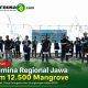 Pertamina Regional Jawa Tanam 12.500 Mangrove di Pantai Kesambi, Tutup Peringatan Hari Lingkungan Hidup 2026