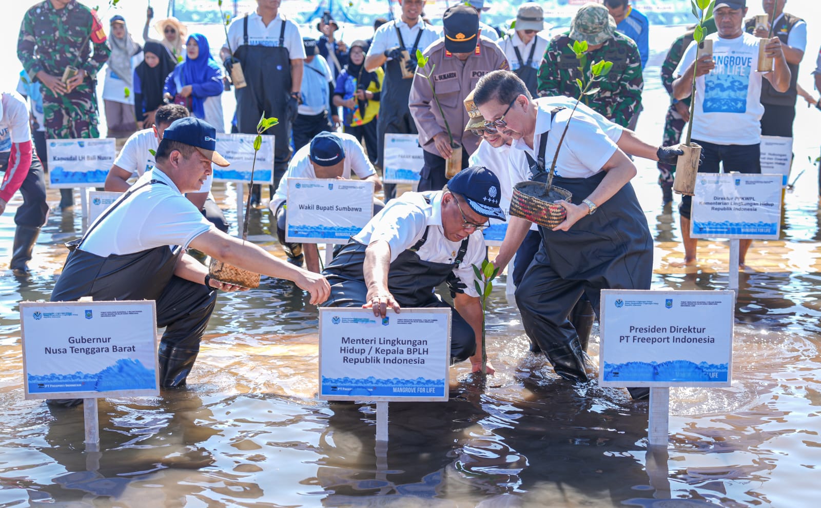 Buka Peluang Ekonomi Hijau Baru, Menteri LH Jumhur Tegaskan Semangat Tobat Ekologis Lewat Restorasi Mangrove di Sumbawa Buka Peluang Ekonomi Hijau Baru, Menteri LH Jumhur Tegaskan Semangat Tobat Ekologis Lewat Restorasi Mangrove di Sumbawa