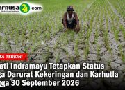 Bupati Indramayu Tetapkan Status Siaga Darurat Kekeringan dan Karhutla hingga 30 September 2026