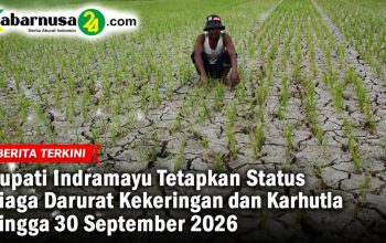 Bupati Indramayu Tetapkan Status Siaga Darurat Kekeringan dan Karhutla hingga 30 September 2026