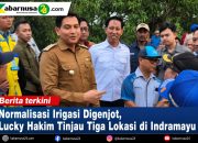 Normalisasi Irigasi Digenjot, Lucky Hakim Tinjau Tiga Lokasi di Indramayu
