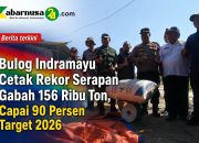 Bulog Indramayu Cetak Rekor Serapan Gabah 156 Ribu Ton, Capai 90 Persen Target 2026