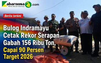 Bulog Indramayu Cetak Rekor Serapan Gabah 156 Ribu Ton, Capai 90 Persen Target 2026 Bulog Indramayu Cetak Rekor Serapan Gabah 156 Ribu Ton, Capai 90 Persen Target 2026