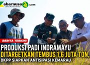 Produksi Padi Indramayu Ditargetkan Tembus 1,6 Juta Ton, DKPP Siapkan Antisipasi Kemarau