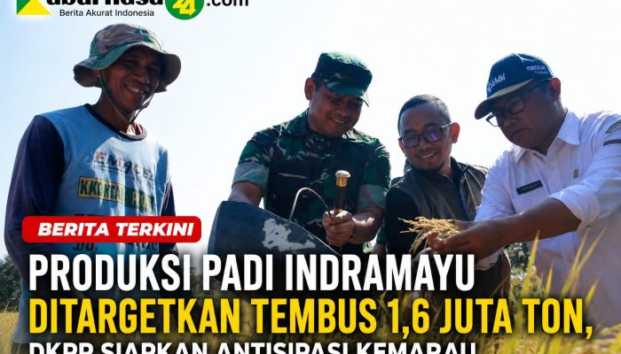 Produksi Padi Indramayu Ditargetkan Tembus 1,6 Juta Ton, DKPP Siapkan Antisipasi Kemarau