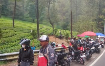 Suasana Libur Akhir Pekan, Wisata Puncak Bogor Ramai Dikunjungi Masyarakat Suasana Libur Akhir Pekan, Wisata Puncak Bogor Ramai Dikunjungi Masyarakat