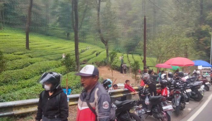 Suasana Libur Akhir Pekan, Wisata Puncak Bogor Ramai Dikunjungi Masyarakat