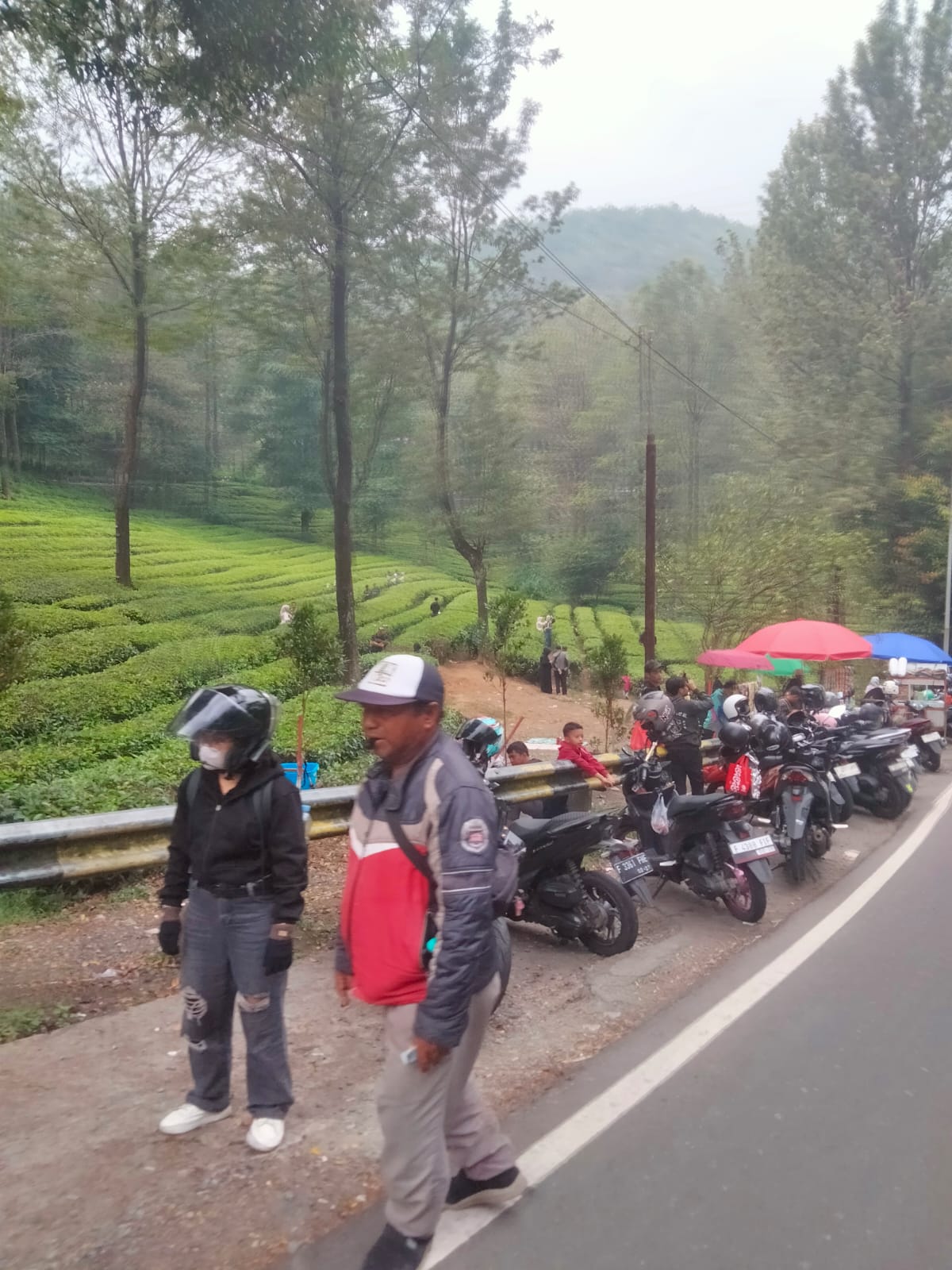 Suasana Libur Akhir Pekan, Wisata Puncak Bogor Ramai Dikunjungi Masyarakat